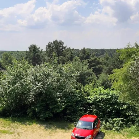 ホームステイ Wiktoria